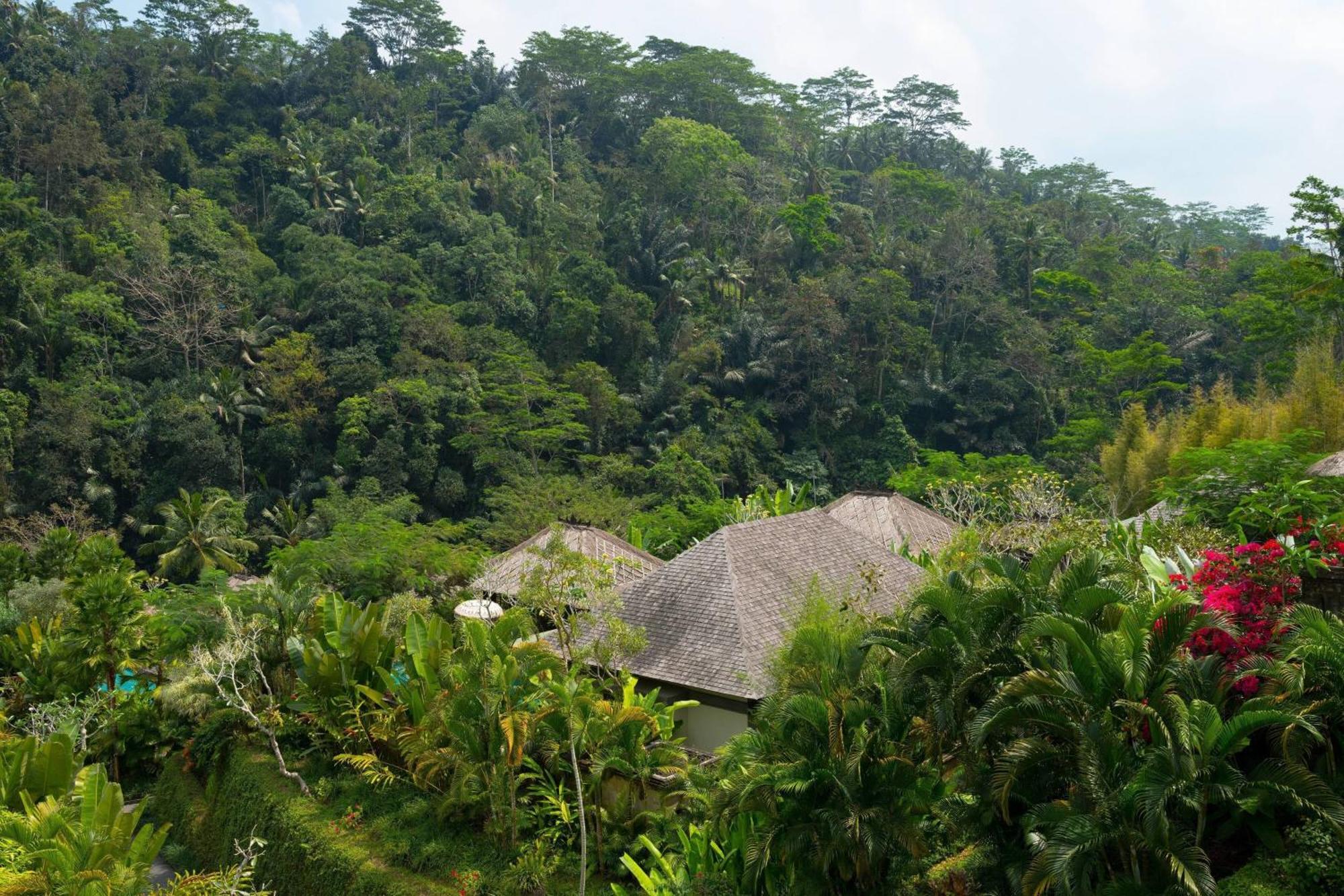Mandapa, A Ritz-Carlton Reserve Ubud  Luaran gambar