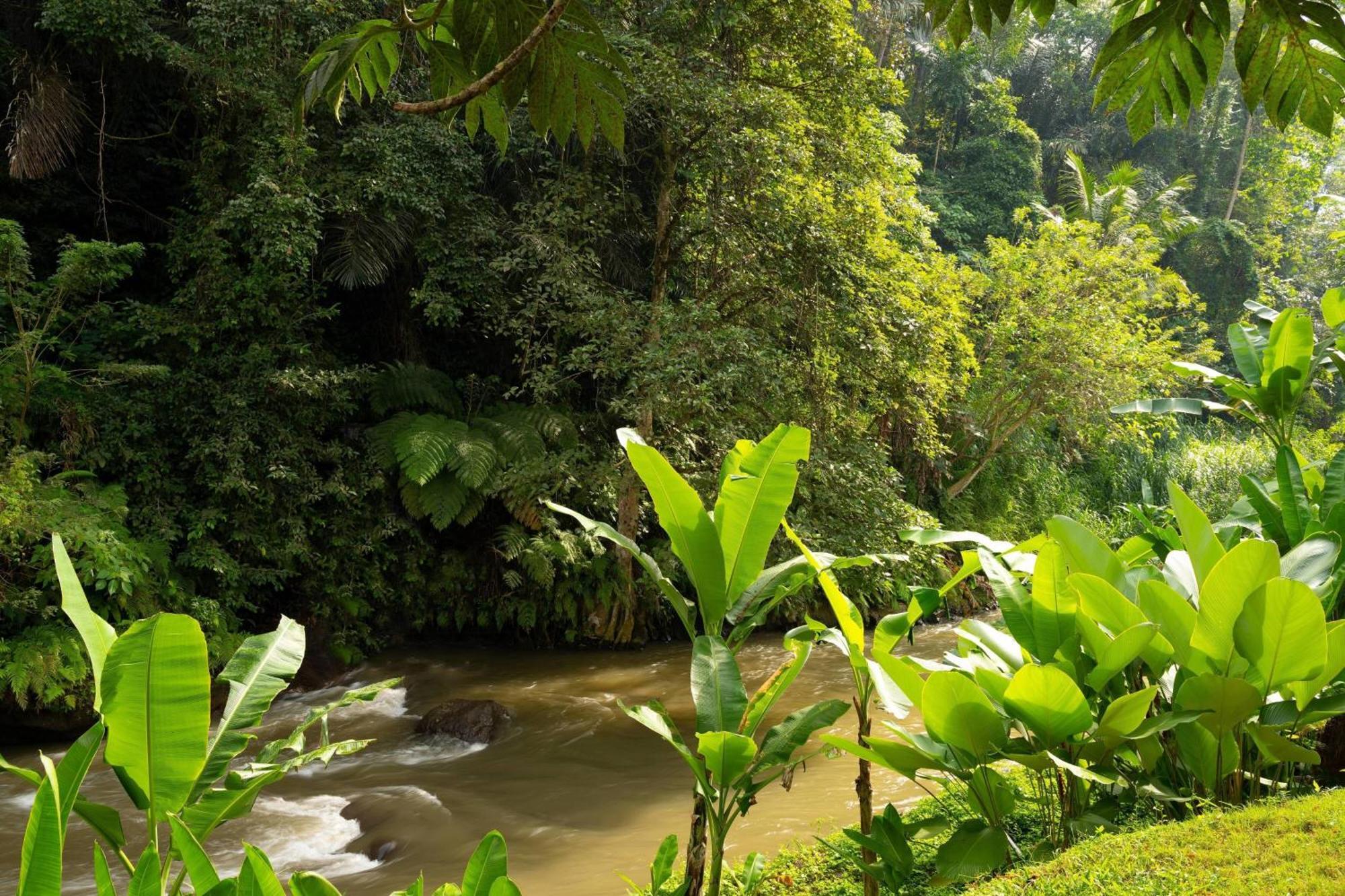 Mandapa, A Ritz-Carlton Reserve Ubud  Luaran gambar